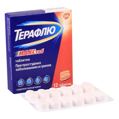 Терафлю Макс тб №12