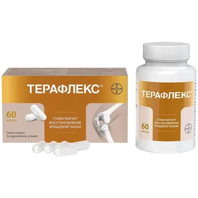 Терафлекс капс 400мг/500мг №60