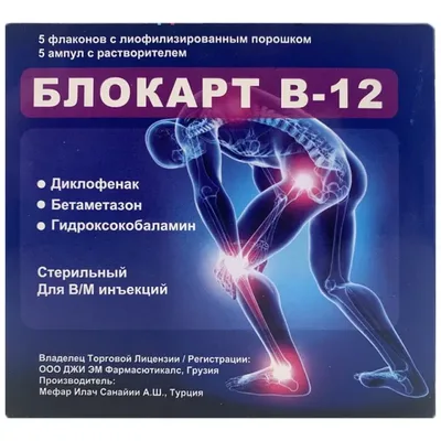Блокарт В-12 амп №6