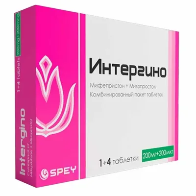 ИнтерГино Кид тб №5
